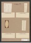 Navicula sp. (de-Toni-Nr.: Genus 1) Zeichnungen Sammlung Grunow Nr. 1480 (NHMW-BOT-W0368494)